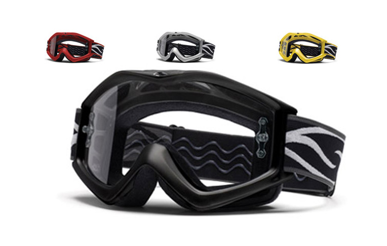 Smith EVO goggles